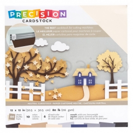    Precision Cardstock,  Neutral, 30,5*30,5 , 60 