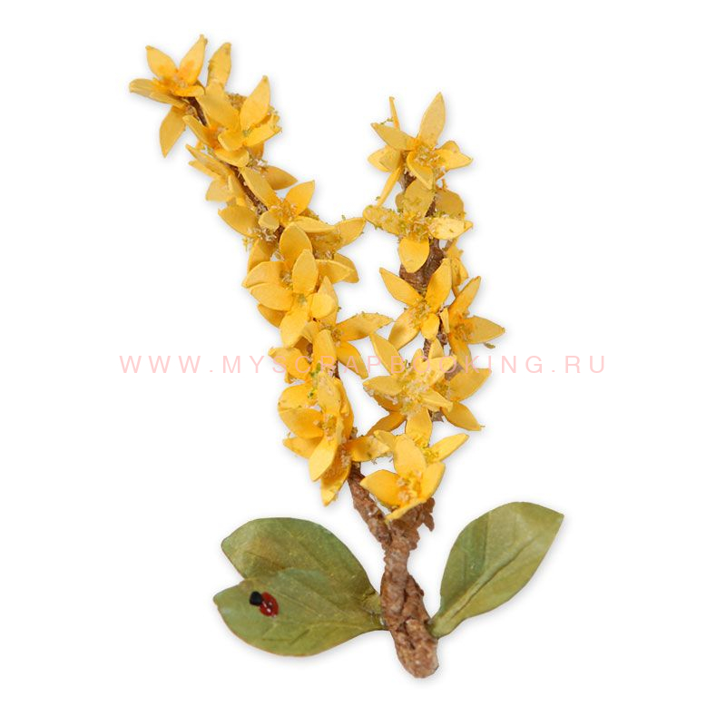     Sizzix Thinlits 2PK - Flower, Forsythia #658406