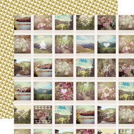 Бумага для скрапбукинга Snapshots, Wildflower, 30,5x30,5 см, двусторонняя, Carta Bella 