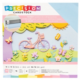     Precision Cardstock,  Pastel, 30,5*30,5 , 60 